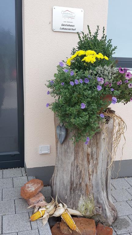 Lohauserhof - Biohof Und Hotel Rohrmoos Eksteriør billede